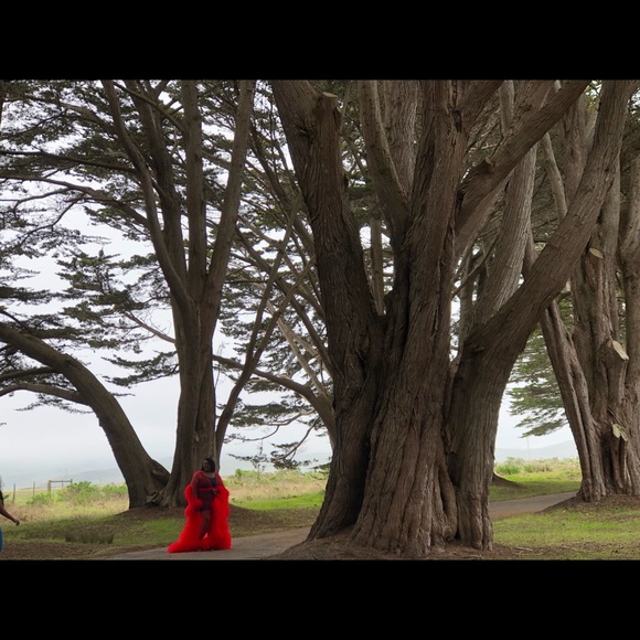 Tulle Red Robe - Picture 3 of 3